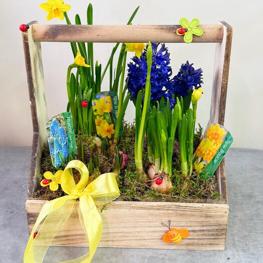 Композиция с гиацинтами и нарциссами