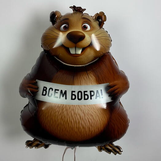 Воздушный шар Бобер Фёдор