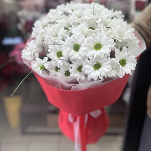 Ромашки