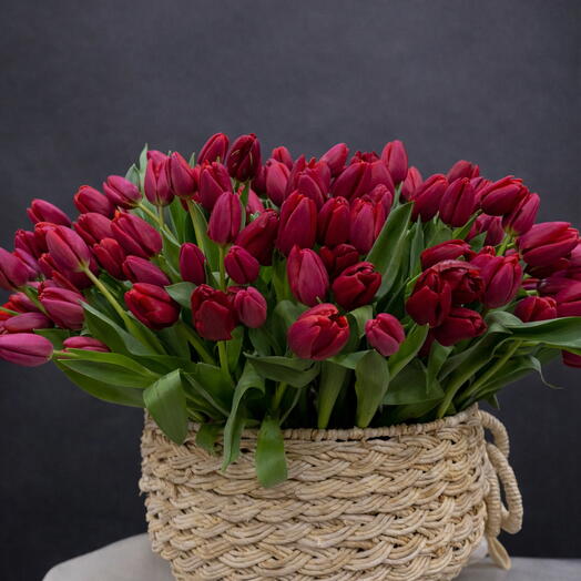 Royal Red Tulips – 200 Stems