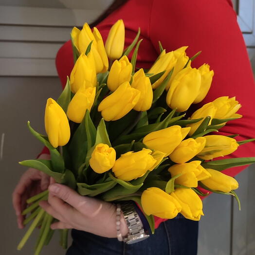 25 жёлтых высоких тюльпана под ленту