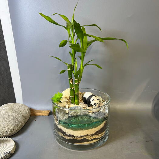 Флорариум с драценой и имитацией воды, панда в Китае подарок