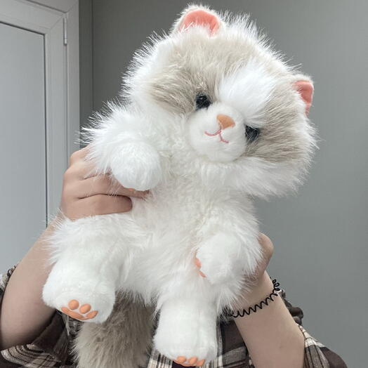 Кот белый