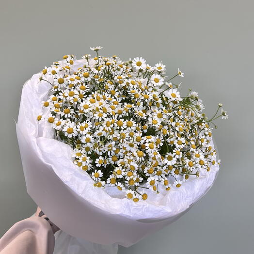 Монобукет из ромашек