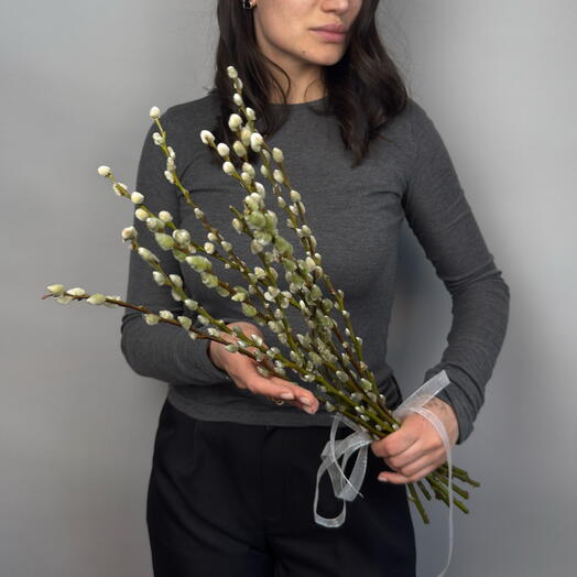 Верба натуральная