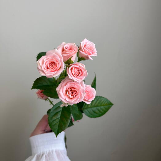 Кустовая Роза pink