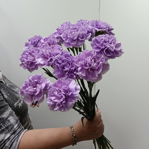 Диантус из 17 штучек