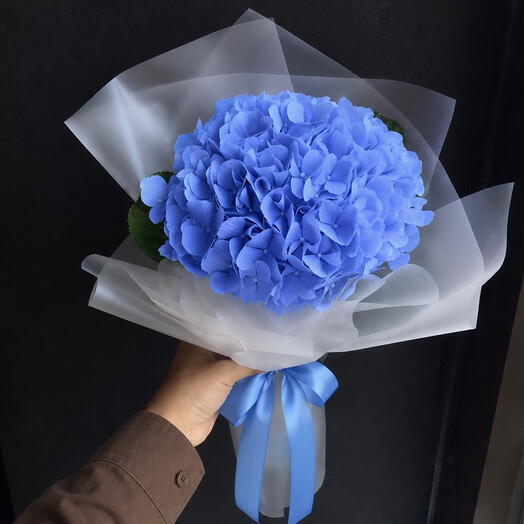 💙 Яркая синяя гортензия в упаковке комплимент