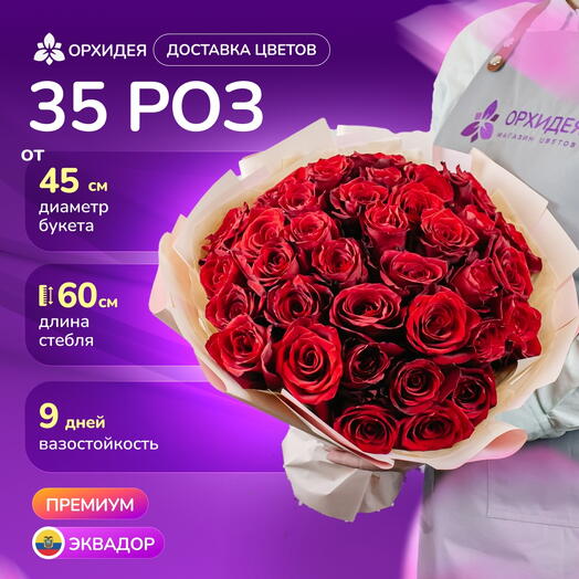 35 роз Эксплорер