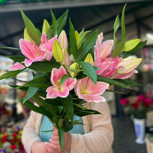 Розовая лилия 🌸🌸🌸