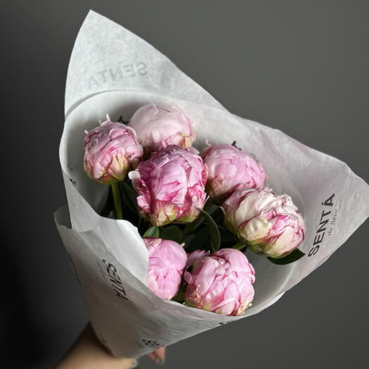 Букет Пион Сара 7🌸