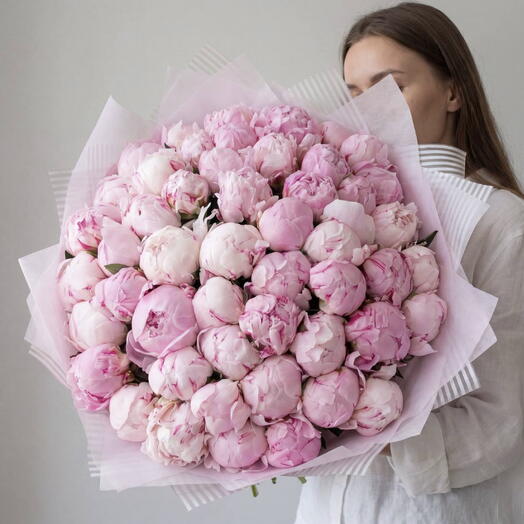 Пионы 😍 Premium