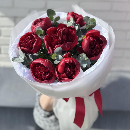 Букет 7 бордовых пионов ♥️😍