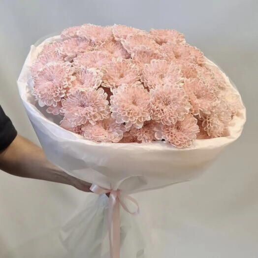 Розовое счастье: 7 кустовых хризантем 🌸💗