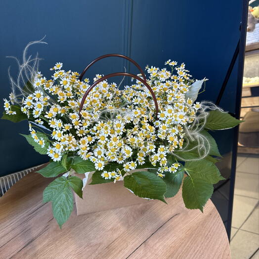 Сумочка с ромашками 💚