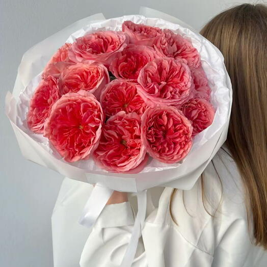 Ostin pink roses