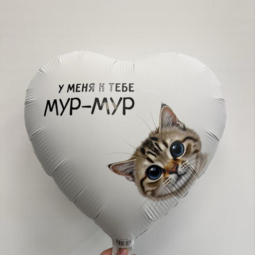 Шар с гелием «У меня к тебе мур-мур»
