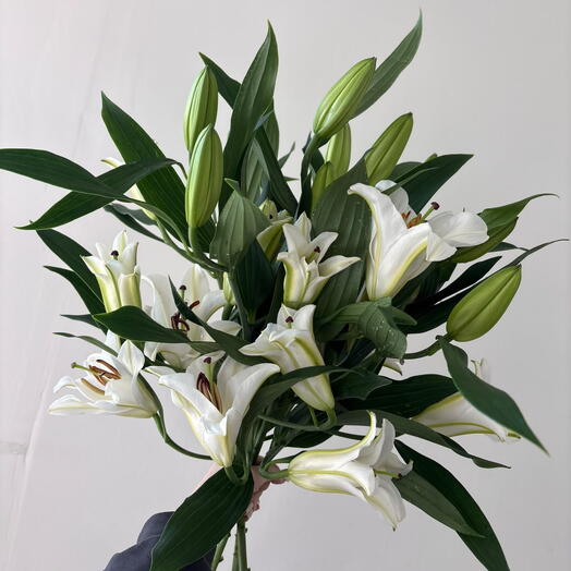 Bouquet of lilies