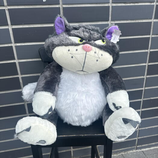Кот
