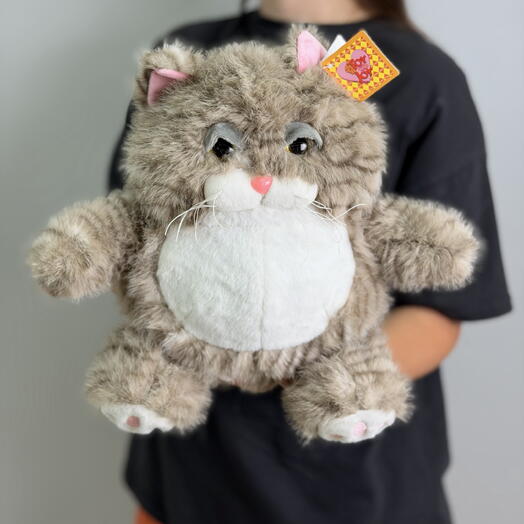 Кот Гарфилд