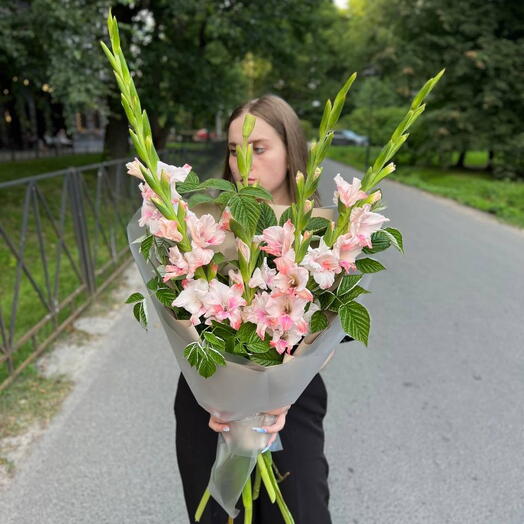Розовые гладиолусы