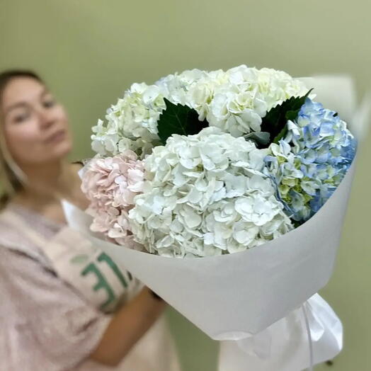 Букет из 5 шт. Разноцветных гортензий ( белого, розового, голубого -цвета)