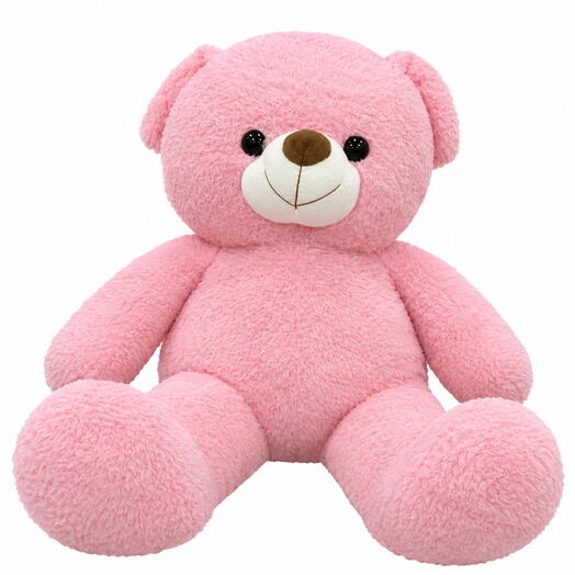 fluffy teddy bear 🧸💕