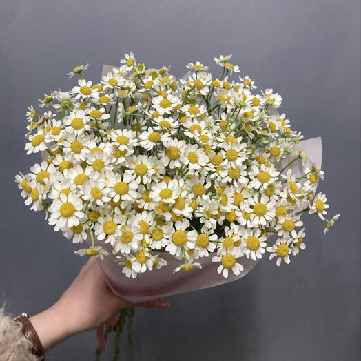 Букет ромашек