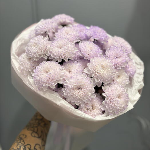 Нежные сиреневые воздушные хризантемы 💜🩷🌸