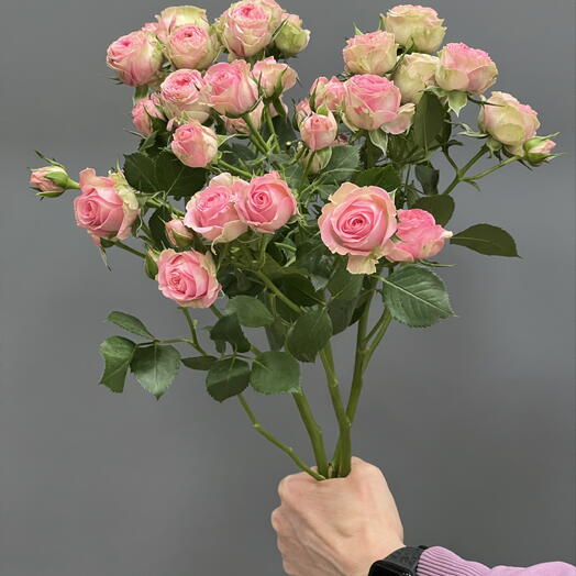 Моно 30