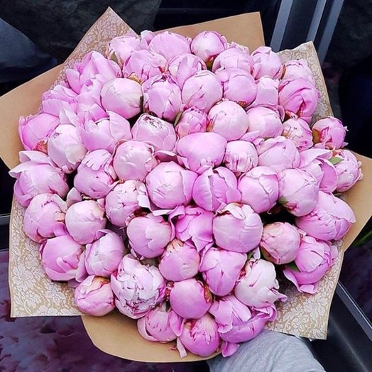 101 selected peonies