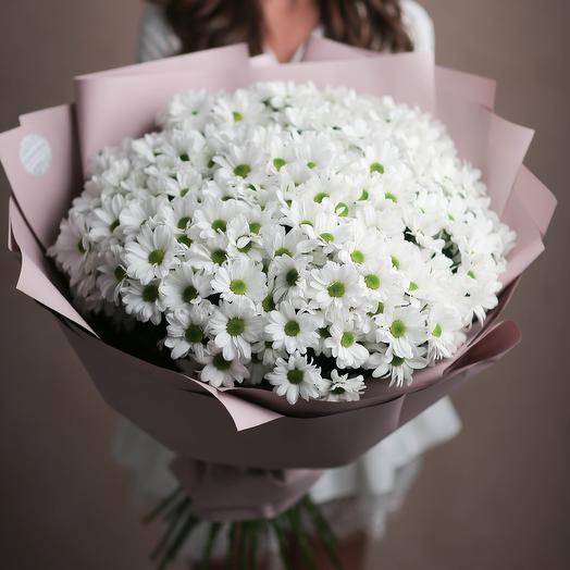 Ромашковое поле 🌸