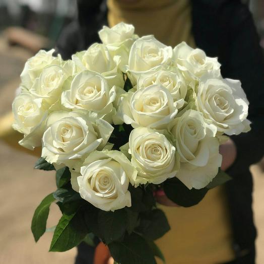 Ramo de 15 rosas blancas Ecuador 50 cm