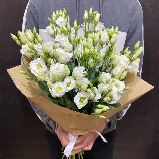 Eustoma Blancanieves