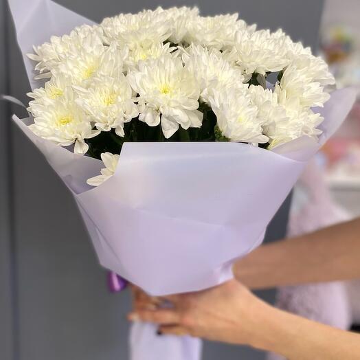 Favorite chrysanthemum