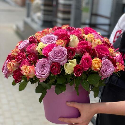 Promoción 101 rosa en Caja de sombrero
