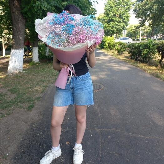 Bouquet of gypsophila