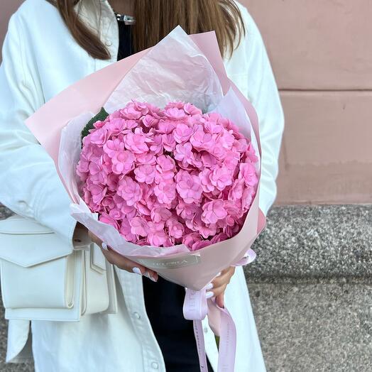 Mono pink hydrangea