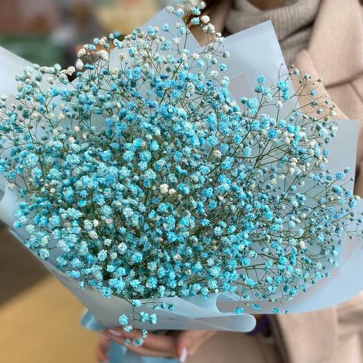 Bouquet of blue gypsophila