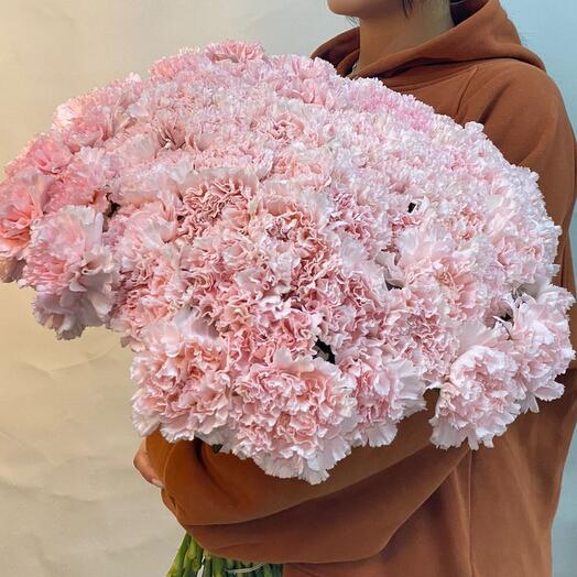 Clavel rosa
