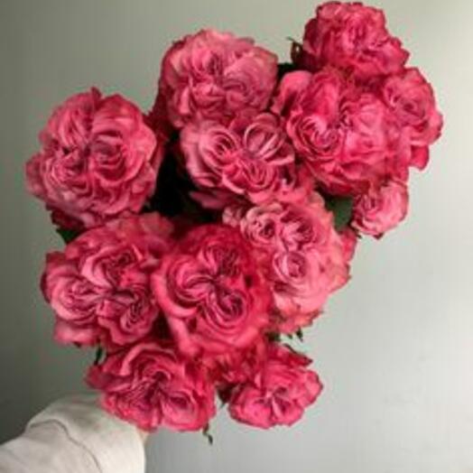 BOUQUET 19