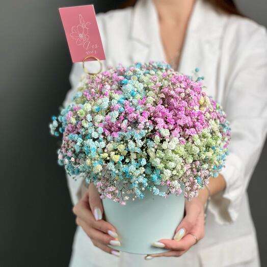 Gypsophila iridiscente en una Caja
