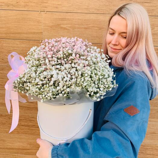 Caja de sombreros con gypsophila