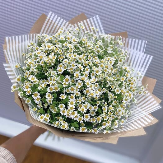 Ромашки
