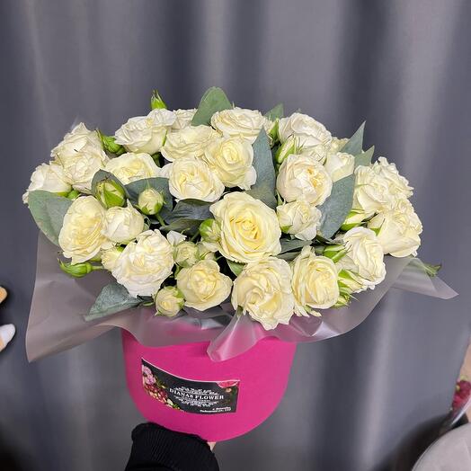 Rosa de arbusto en una Caja