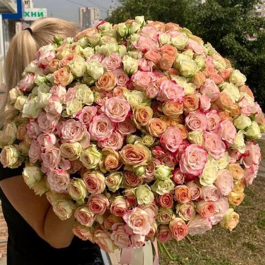 101 кустовая Роза