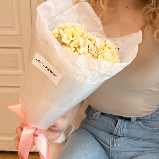 Peach hydrangea