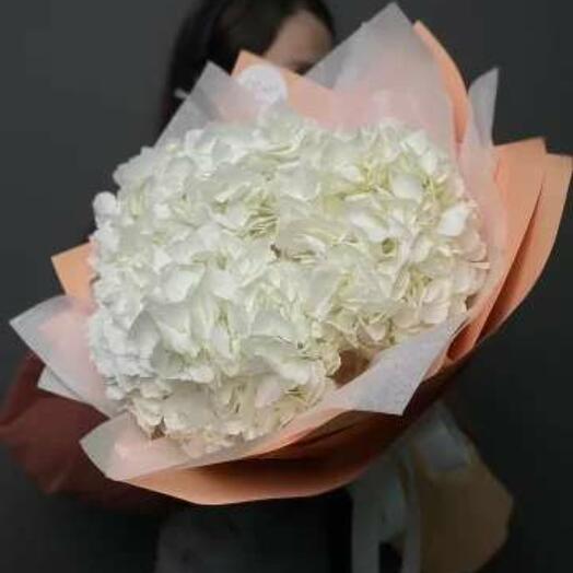 Hydrangeas are white