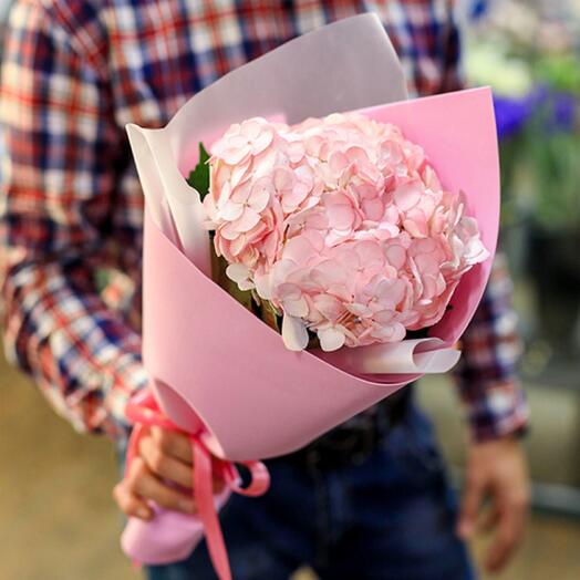 Bouquet of one pink hydrangea (Columbia, 50 cm)