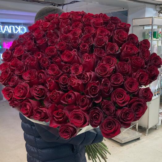 Роза Эквадор 110 см